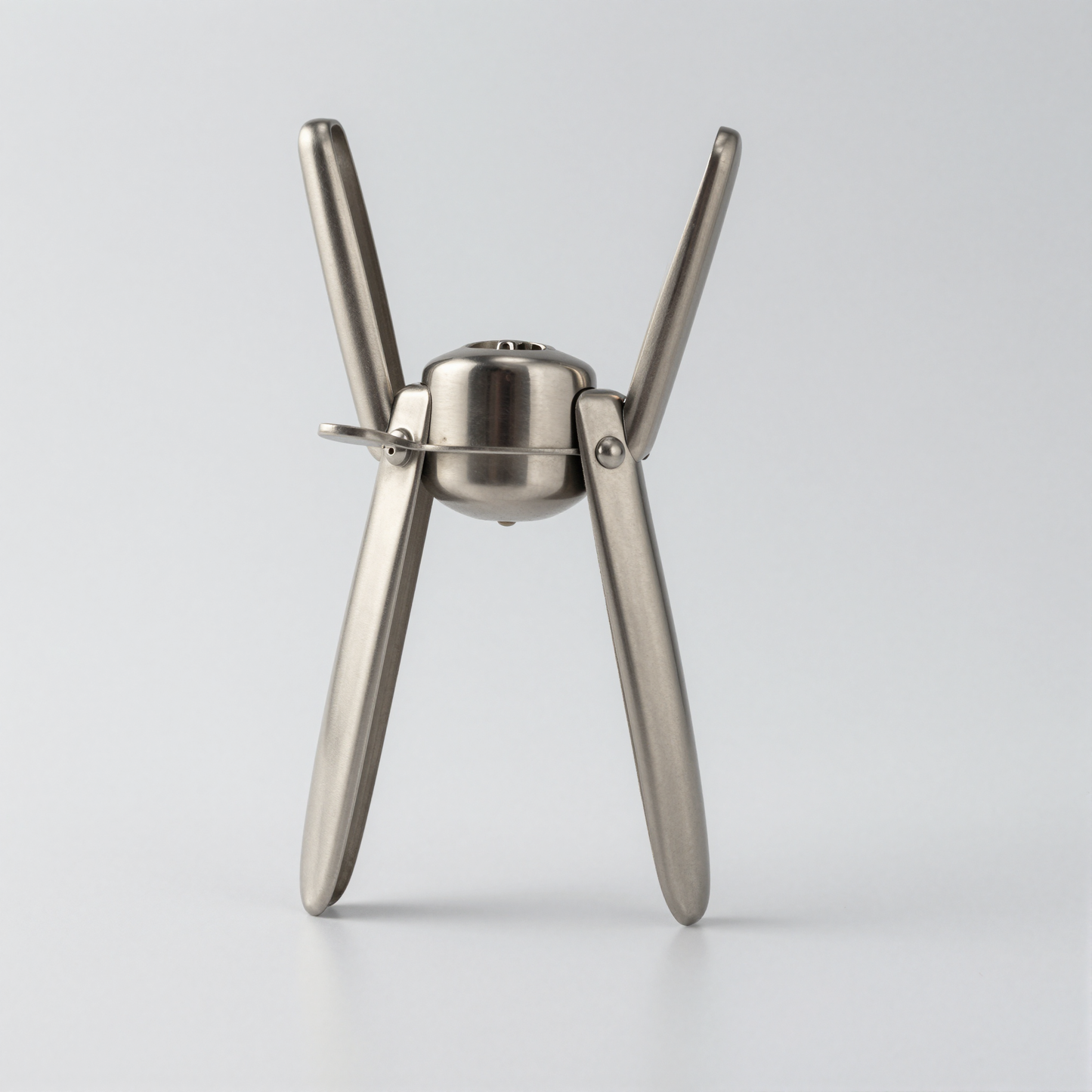 Stainless Steel Garlic Press