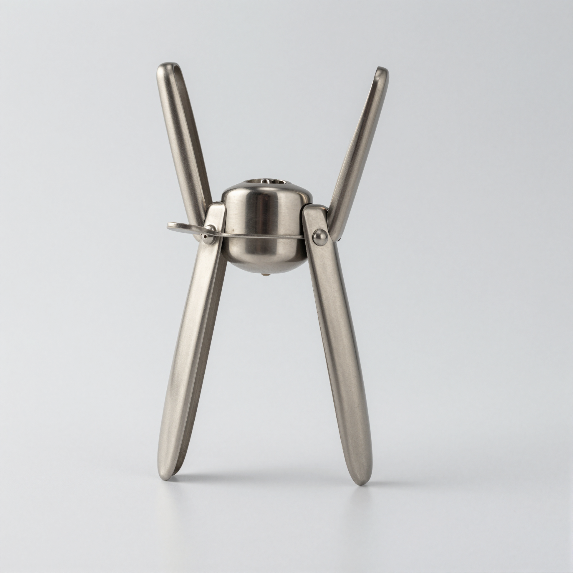 Stainless Steel Garlic Press